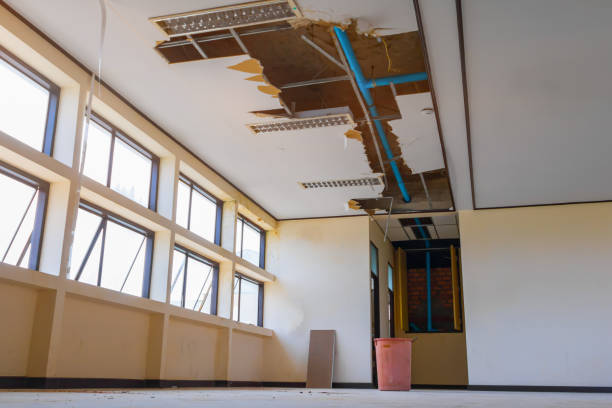 Best Residential water damage restoration  in Kings Park West, VA