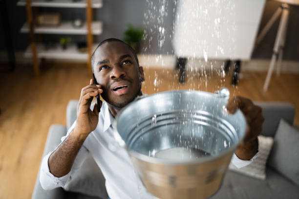 Best Water damage restoration near me  in Kings Park West, VA