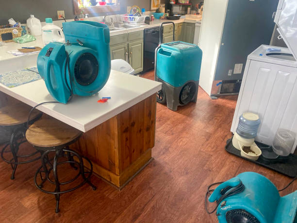 Best Sewage cleanup and water damage restoration  in Kings Park West, VA