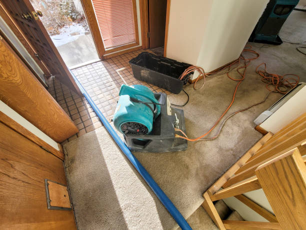 Best Basement water damage restoration  in Kings Park West, VA