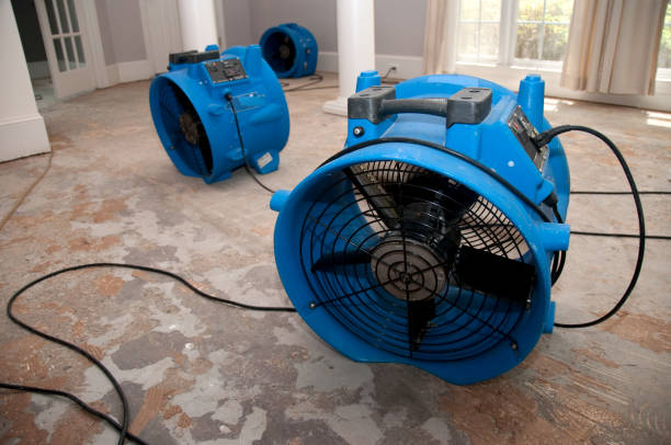 Best Carpet water damage restoration  in Kings Park West, VA