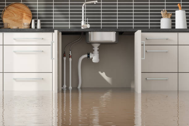 Best Flood damage cleanup  in Kings Park West, VA