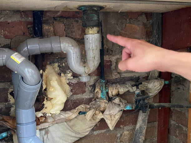  Kings Park West, VA Water damage restoration Pros